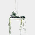 Babylon Pendant Planter